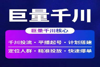 某电商平台信息流广告的精准推广策略